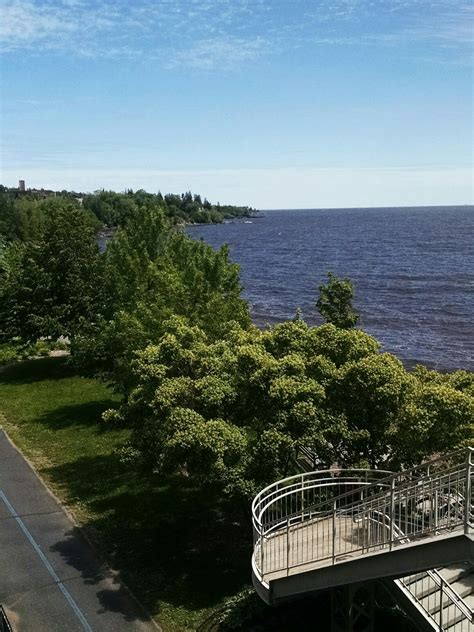 Cockapoo Puppies Duluth Mn - Duluth.MN | Duluth mn, Bay bridge, Duluth