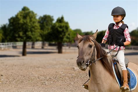 A Guide To Horseback Riding For Beginners The Activityhero Blog