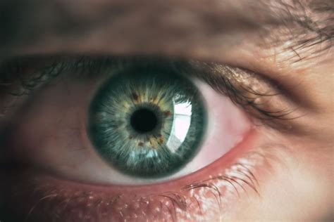 Most Common Types Of Eye Infections And How To Prevent Them Michigan