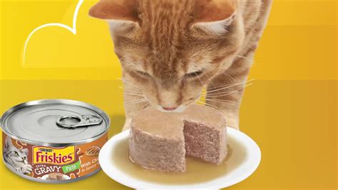 We will consider their positives and negatives, as well as the ingredients they are made with. Recall On Friskies Cat Food 2019
