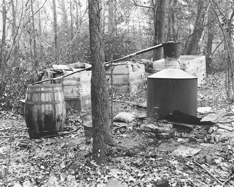 Moonshine Still In The Woods 1931 Vintage Photo By Historyphoto