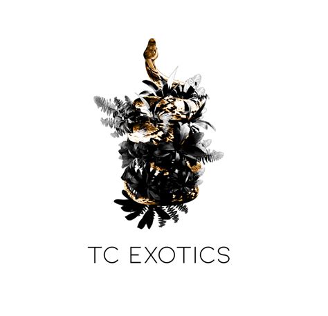 Tc Exoticss Collection Morphmarket