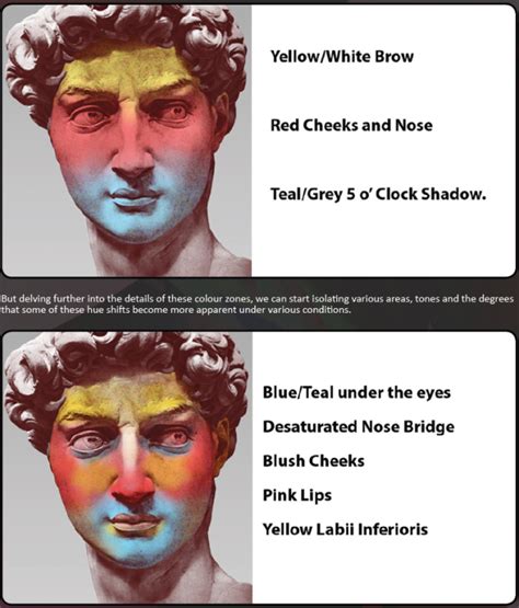 1 Color Zones Of The Face Tried To Find Source Art Resources