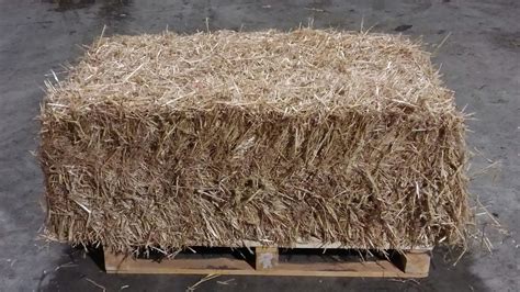 Wheat Straw Medium Bale