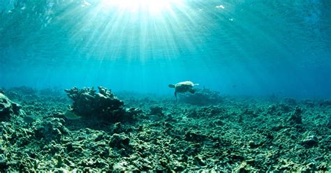 Record Warm Oceans How Worried Should We Be Environmental Defense Fund