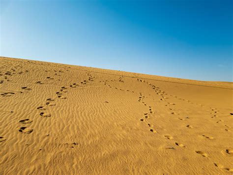 Footprints In The Desert Sand 4193335 Stock Photo At Vecteezy