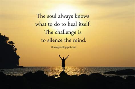 The Soul Always Knows What To Do To Heal Itself The Challenge Is To