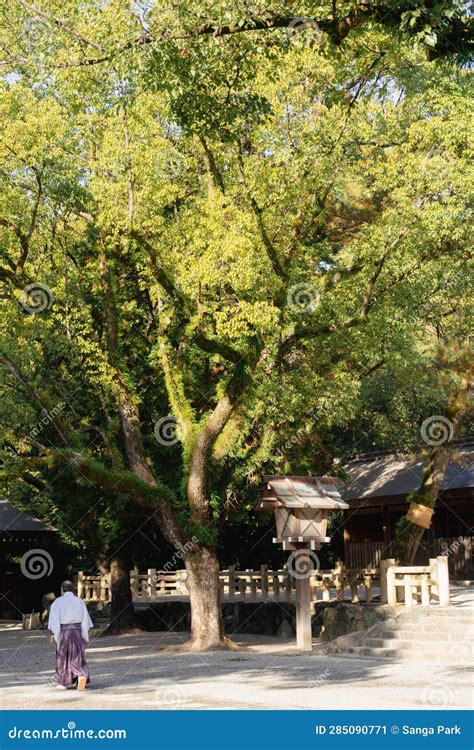 Atsuta Shrine With Green Tree In Nagoya Japan Editorial Photo Image