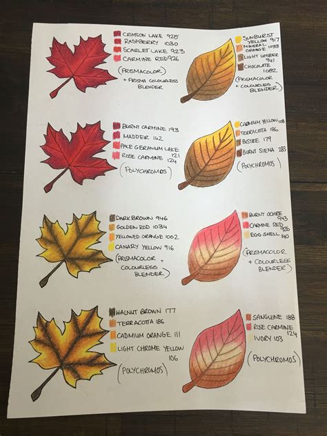 Leaf colour chart | Color pencil art, Prismacolor, Colored pencil tutorial