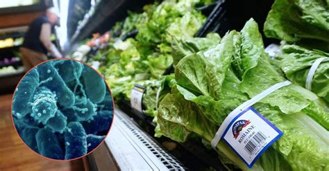 Theres Been Another Recall For Romaine Lettuce By The Cdc