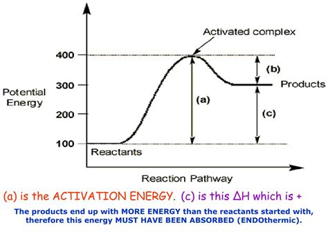 Ppt Potential Energy Diagrams Powerpoint Presentation Free Download