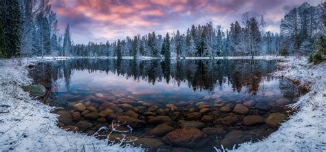 Nature Landscape Winter Lake Forest Snow Morning Trees Finland