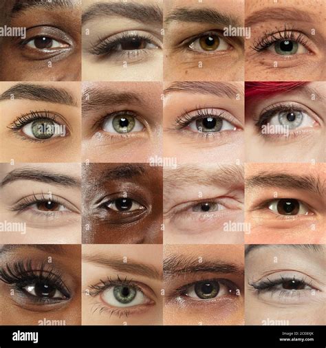 Different Types Of Eye Colors