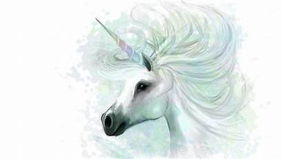 Unicorn Horn Wallpapers Unicornio Fondos Drawing Resolution