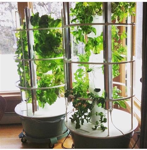 More images for juice plus grow tower » I am SO excited! We just ordered our Tower Garden. I can't ...