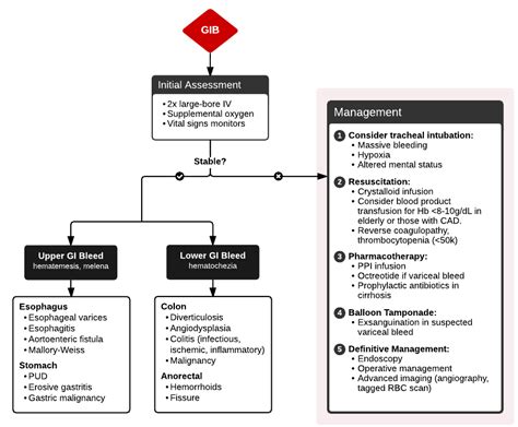Evaluation And Management Of Gastrointestinal Bleeding Grepmed