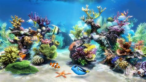 Hd Aquarium Wallpapers Top Những Hình Ảnh Đẹp