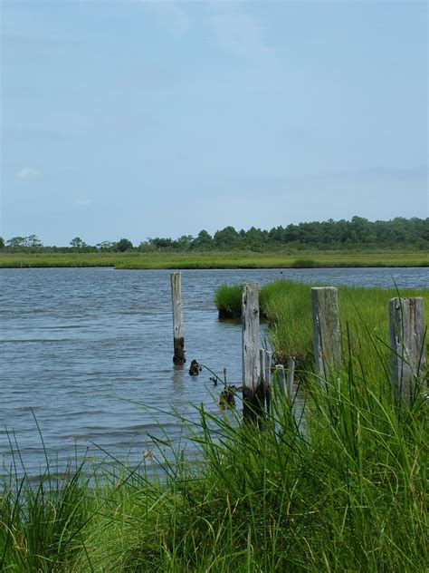 Of geography and earth sciences, university of north carolina at charlotte, 2005. Coastal Plains | American Southwest Virtual Museum