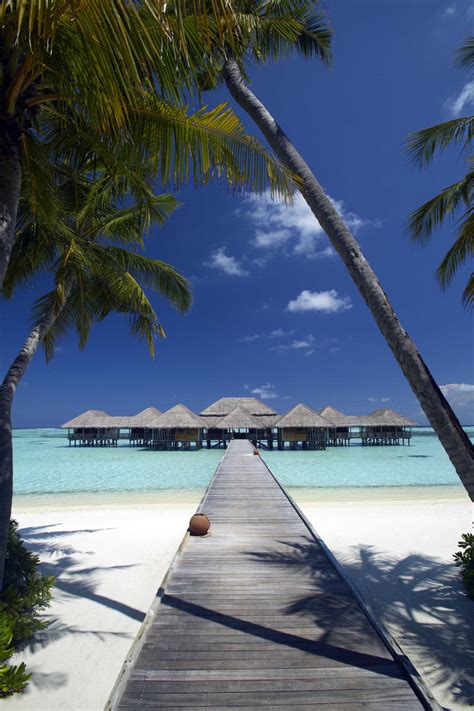 Gili Lankanfushi Resort Maldives Most Beautiful Spots