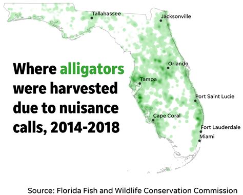 Alligators In Florida Map Wells Printable Map