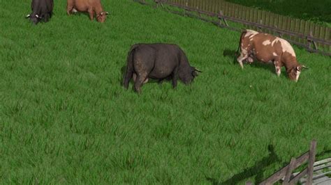 Fs17 Dense Looking Grass Texture V117 • Farming Simulator 19 17 22