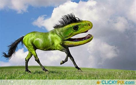 Freaky Photoshopped Animal Hybrids Funny Pictures Pinterest Animals