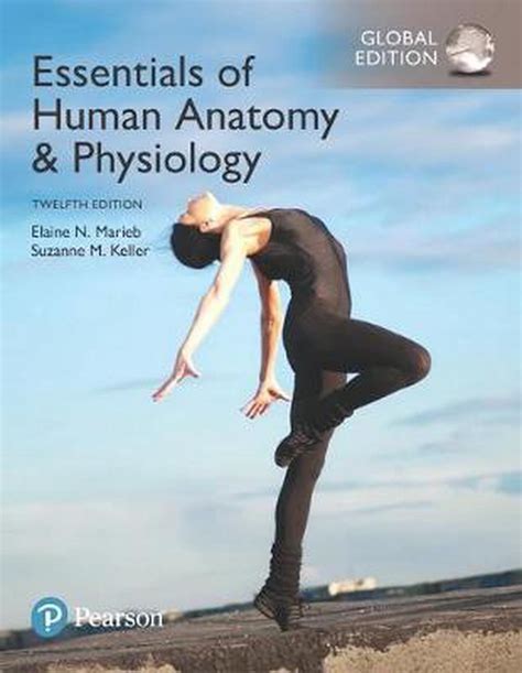 Essentials Of Human Anatomy And Physiology Global Edition 12th Edition By Elaine N Marieb