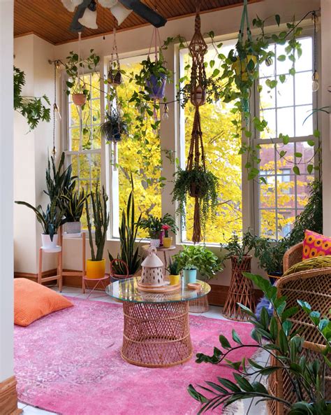 Living Room Indoor Plant Ideas Trendedecor