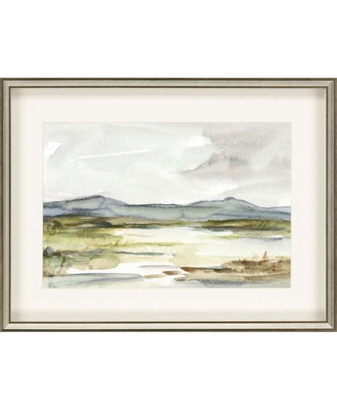 Paragon Picture Gallery Paragon Overcast Wetland I Framed Wall Art 24