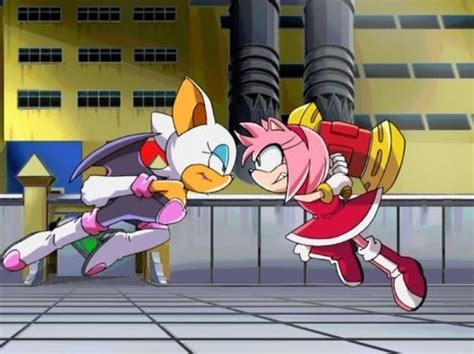 Amy Vs Rouge Images Amy Vs Rouge Wallpaper And Background Photos 29867903