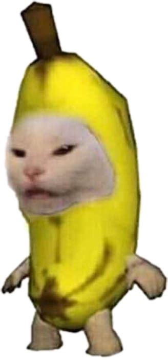 Banana Cat Meme By Honeyapk On Deviantart