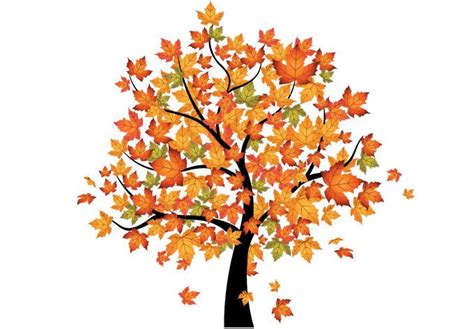Fantastic Leaves Autumn Trees Tree Drawing Clip Art
