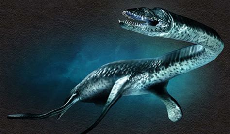 20 Facts About Plesiosaur To Know What This Creature Is Mysterious