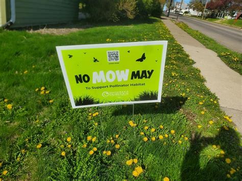 Dubuques No Mow May Is About Doing More By Doing Less