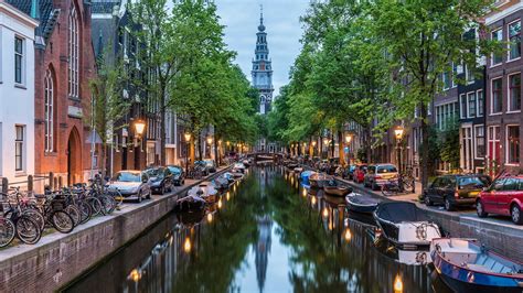 Private Amsterdam Walking Tour Musement
