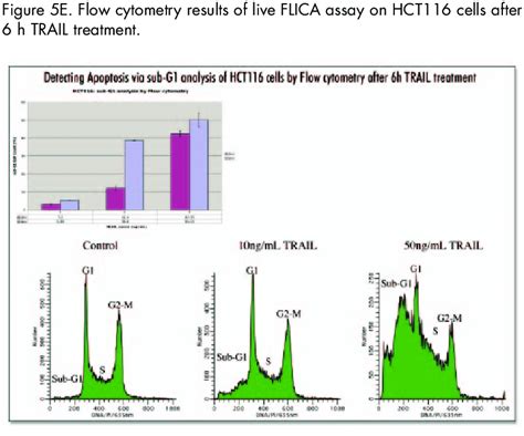 f detecting apoptosis via sub g 1 analysis of hct116 cells by flow download scientific diagram