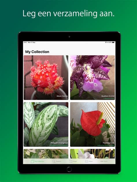 Plantsnap Planten Herkennen App Voor Iphone Ipad En Ipod Touch