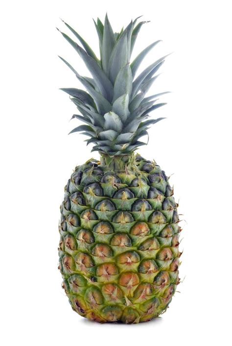Whole Pineapple Stock Photo Image Of Vertical Sweet 24380858