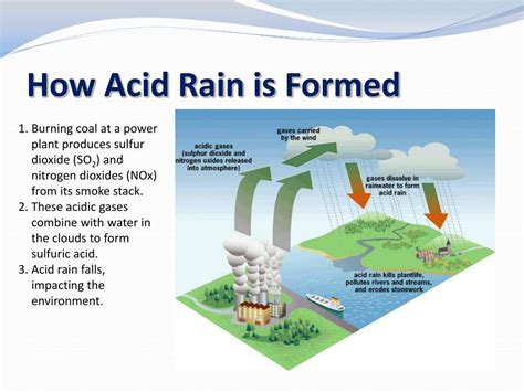 Ppt Acid Rain Powerpoint Presentation Free Download Id6082353