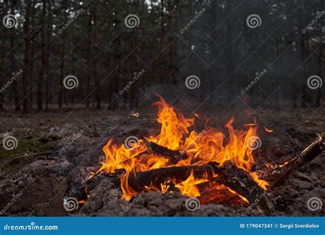 Bonfire In The Forest At Night Stock Image Image Of Outdoor