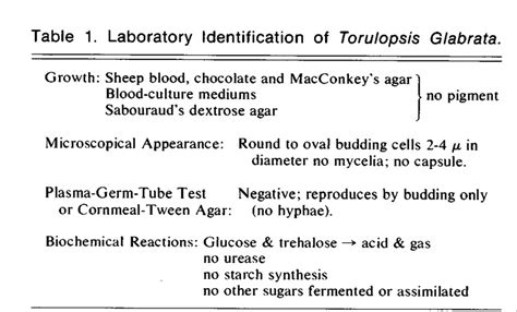 Torulopsis Glabrata — An Opportunistic Pathogen In Man Nejm