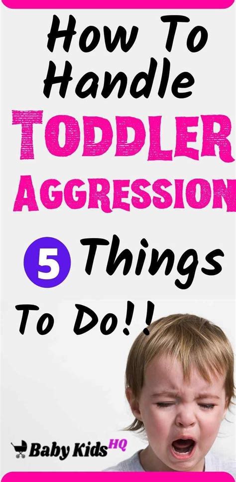 How To Handle The Toddler Aggression 5 Things To Do 2021