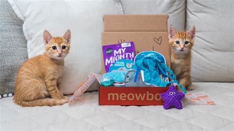 Simply select the no food option at checkout to. meowbox - A monthly cat subscription box filled with fun ...