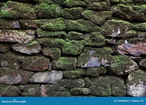 Moss Covered Rock Wall Background Texture Stock Image Image Of