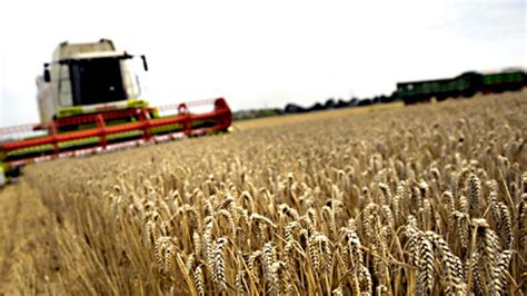 Ukrainischer Getreideverband Rechnet F R Mit Sinkender Ernte Oe At