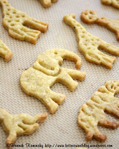 Edible Animals (That are Still Vegan!) | BitterSweet