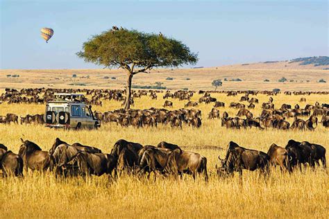 African Safari Tour Companies Worlds Best 2021