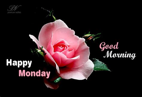 Happy Monday Roses Premium Wishes