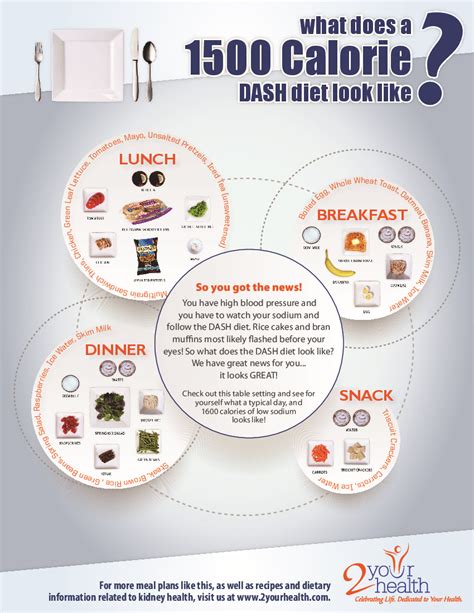 What Does A 1500 Calorie Dash Diet Look Like Infographic Visually