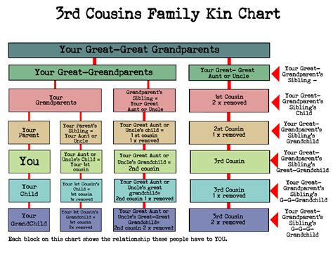 Cousins Relationship Chart Explained